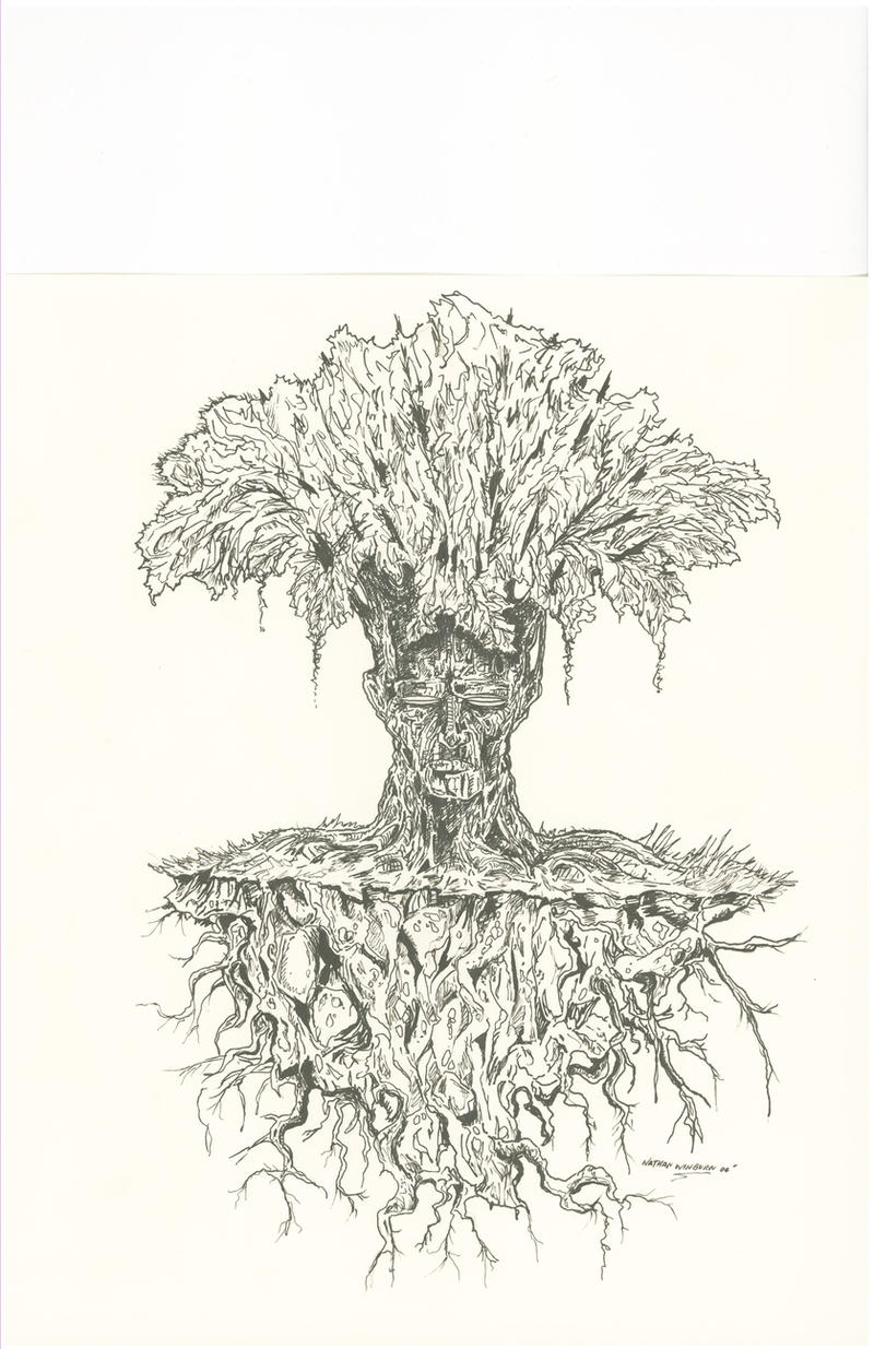 Draw Tree Man Tree man by samurai30 on DeviantArt