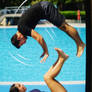 Espectaculo con delfines y antipodismo 2