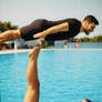 Espectaculo con delfines y antipodismo