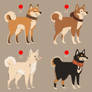 Shiba Inu Adoptables SOLD