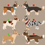 Pembroke and Welsh Corgi adoptables ONE LEFT