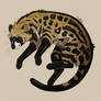 civet