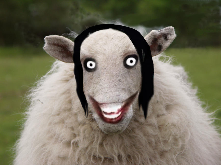 Go To Sheep