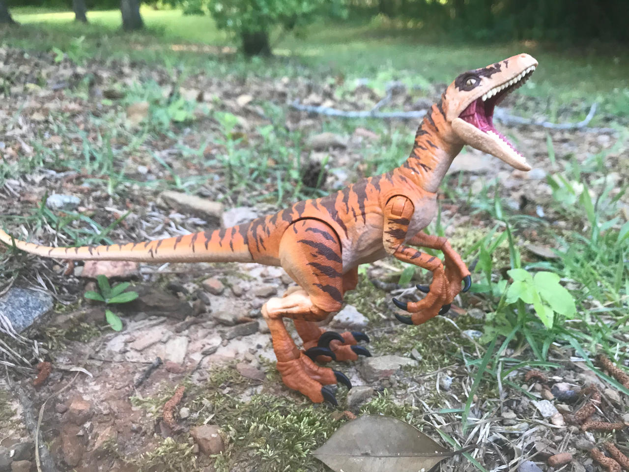 Tiger Rapta Tiger Raptor. by TYRANOSAURUSTHEKING on DeviantArt