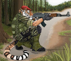 Kostia Tiger