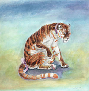 Sulking Tigress