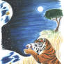 Horse and Tiger Earth:Tigress