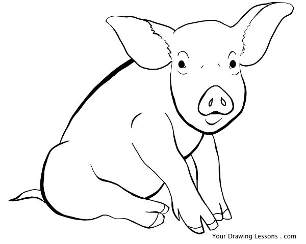 Pig Line Drawing By Mattleyva On Deviantart Pig Line Drawing By Mattleyva On Deviantart