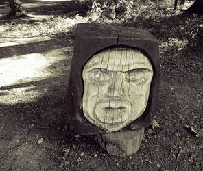 wooden face