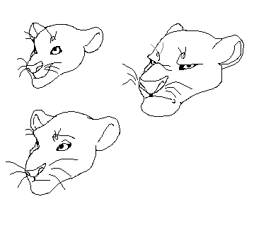 Lion head lineart