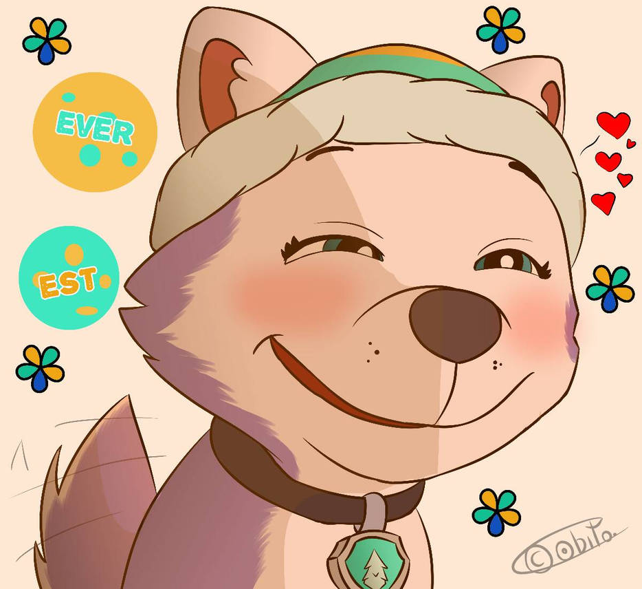 PAW Patrol - Everest's Smile by KonohaTheHusky on DeviantArt