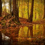 Autumn Textures