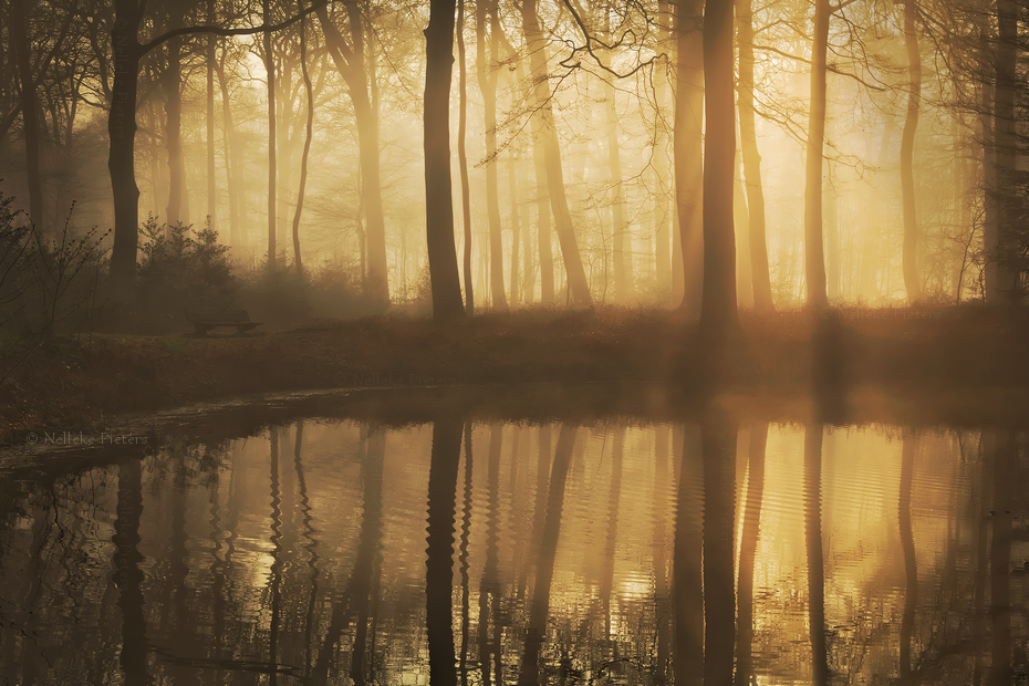 Morning Silence by Nelleke