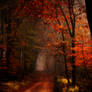 Dark Autumn