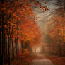 Get Lost In Autumn