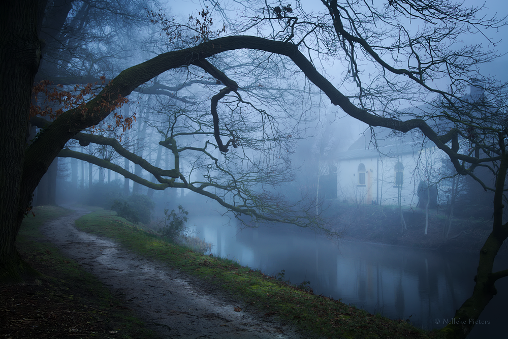 Lakeside House