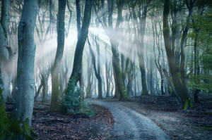 In The Spotlight by Nelleke In The Spotlight by Nelleke