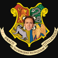 Hogwarts school of Nicloas and Cage