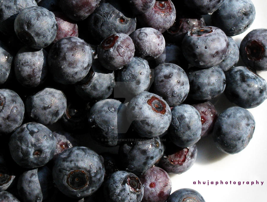 Purple Blueberries by Ambuthewater on DeviantArt