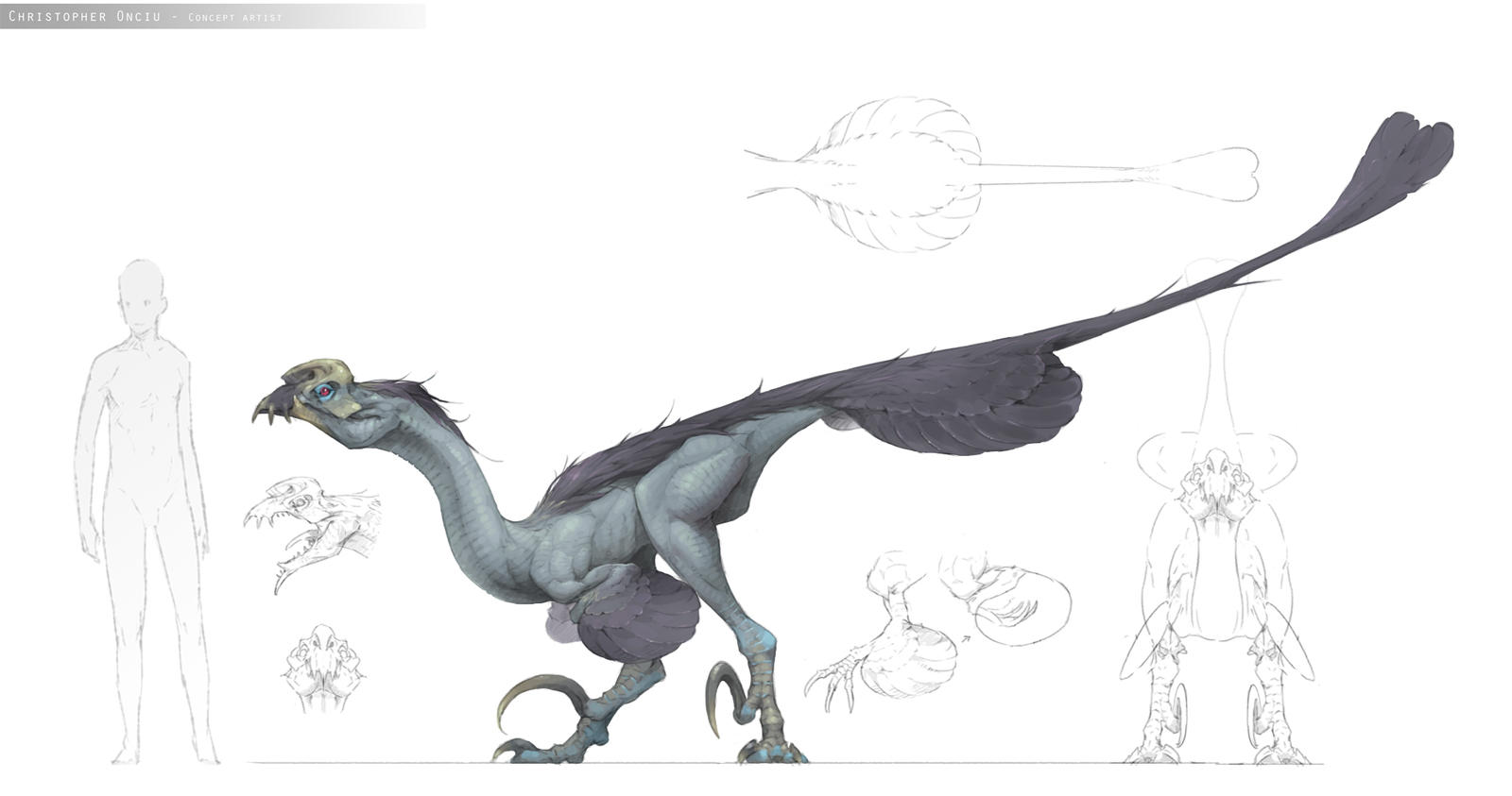 Raptor by ChristopherOnciu on DeviantArt