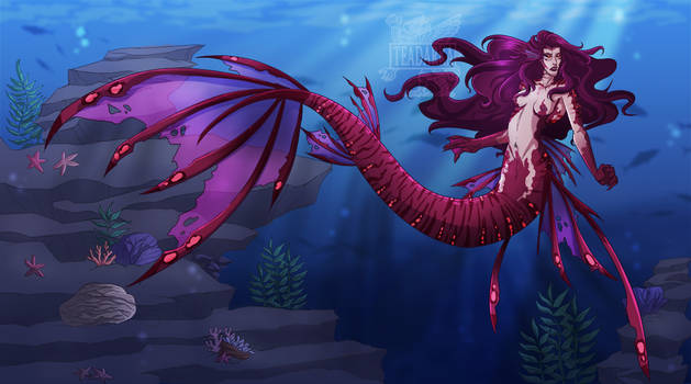 Mermaid Shay