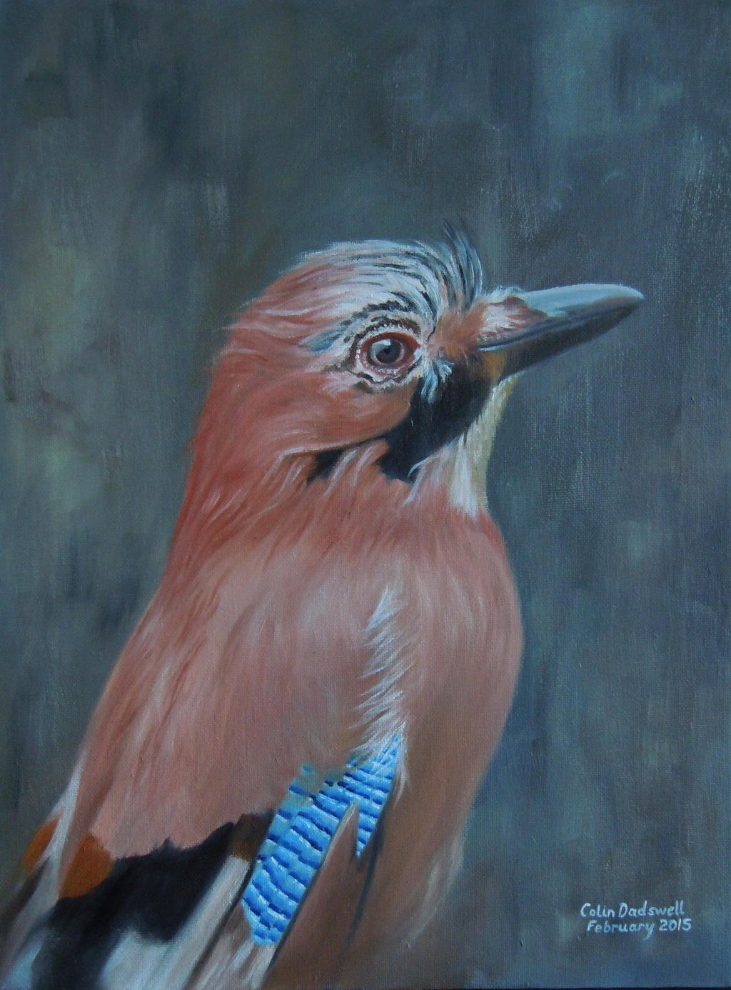 Portrait of a Jay