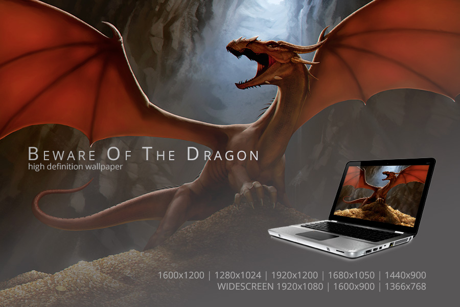 Beware Of The Dragon Wallpaper by PVproject