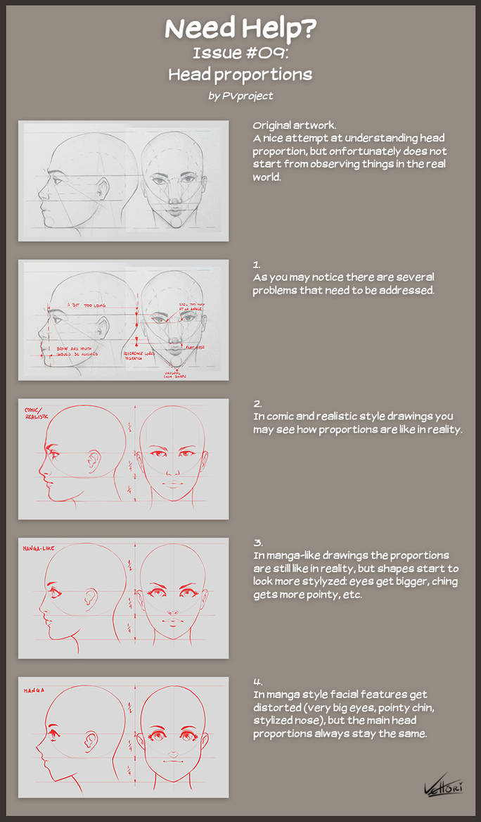 Need Help #09: Head proportions by PVproject on DeviantArt