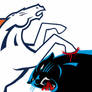 Go Broncos