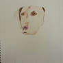 Hunting Dog(in progress)