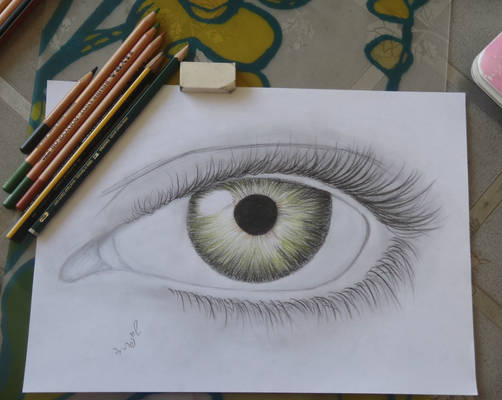 eye practice