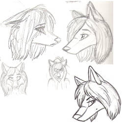 Anthro heads