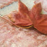 Autumn Leaf