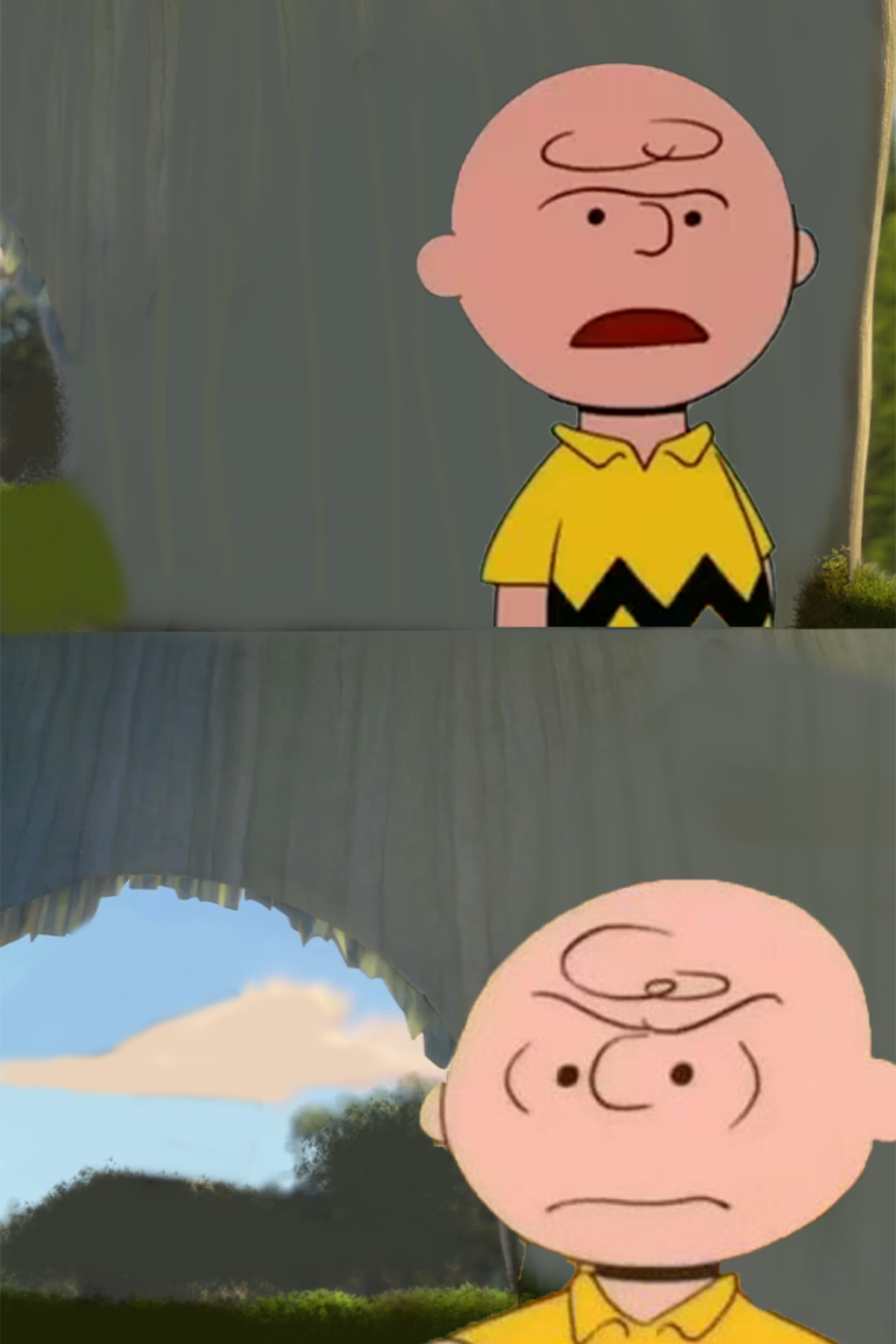 My Charlie Brown Meme by RyleeCrawford04 on DeviantArt