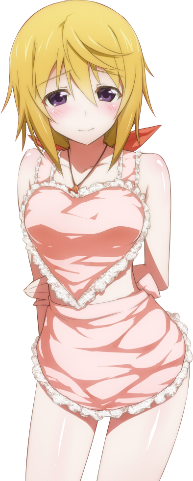 Charlotte Dunois By Akiyojiro On Deviantart Charlotte Dunois By Akiyojiro On Deviantart