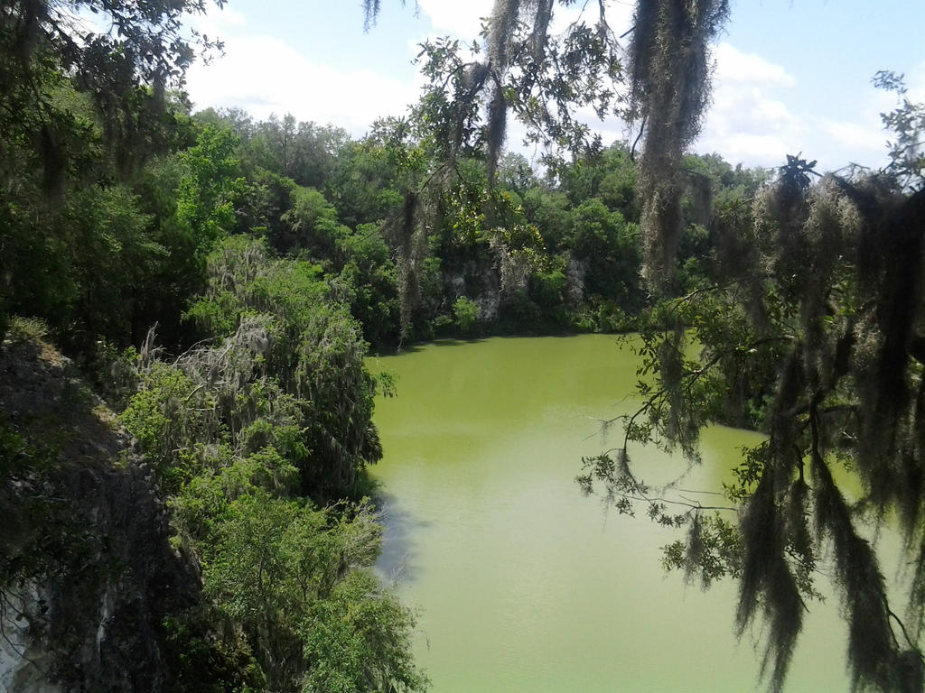 Ocala gorge-7