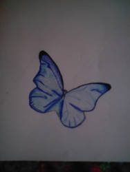 Sketchbook Butterfly