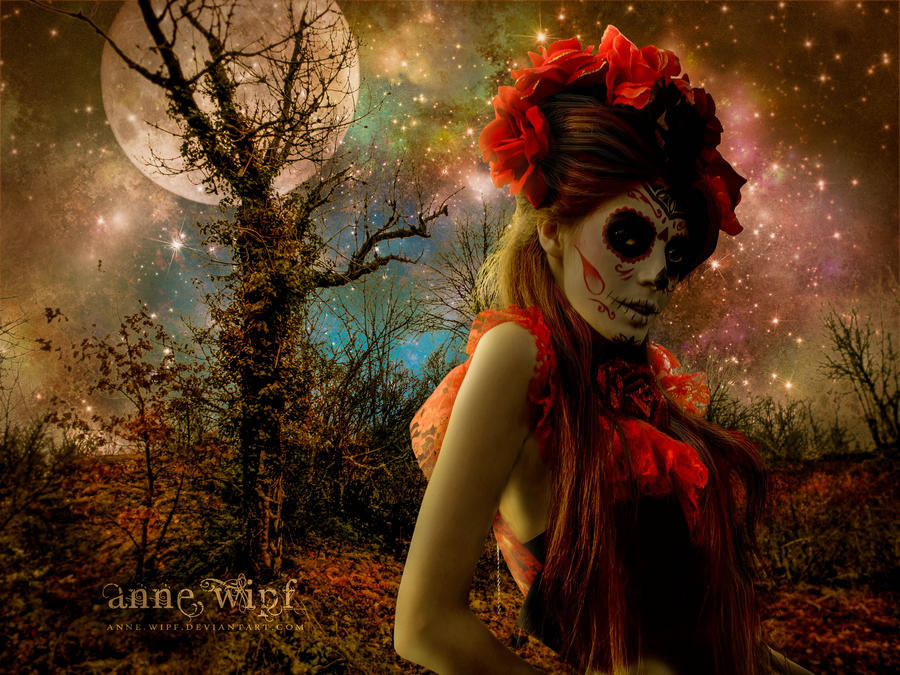 The Red Moon by annewipf