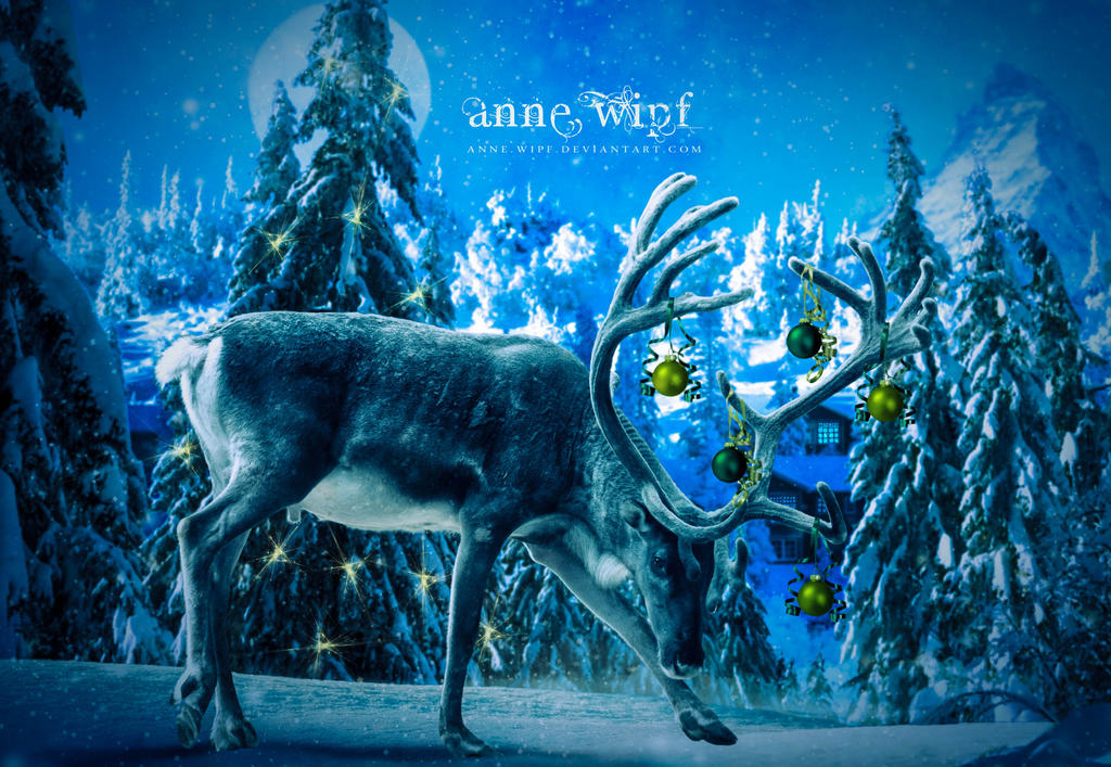 Christmas Reindeer
