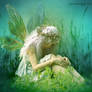 Fairy in the Grass