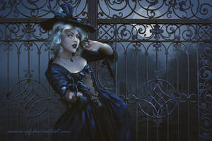 The Spider by annewipf The Spider by annewipf