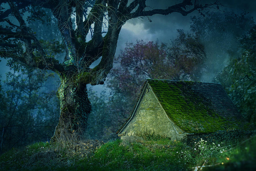 Fairytale 1 by annewipf Fairytale 1 by annewipf