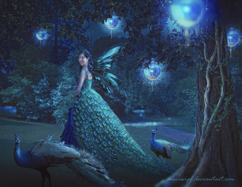 Peacock by annewipf Peacock by annewipf
