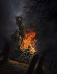 Reborn from Ashes by annewipf