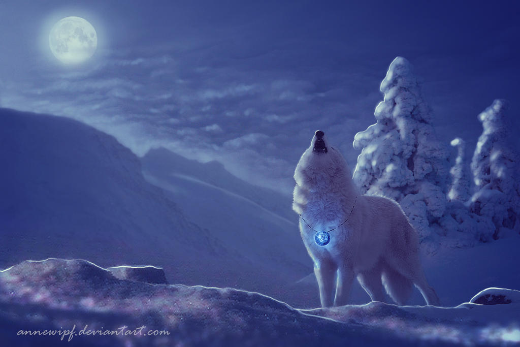 Winter Blues by annewipf Winter Blues by annewipf