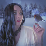 Winter Robin by annewipf