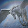 Pegasus
