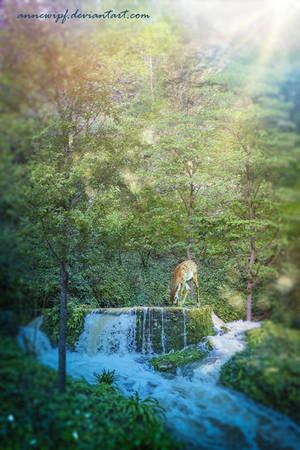 Hidden Fountain by annewipf Hidden Fountain by annewipf