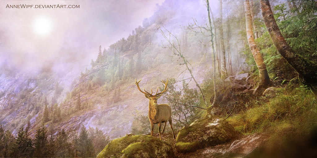 King of the Forest by annewipf King of the Forest by annewipf