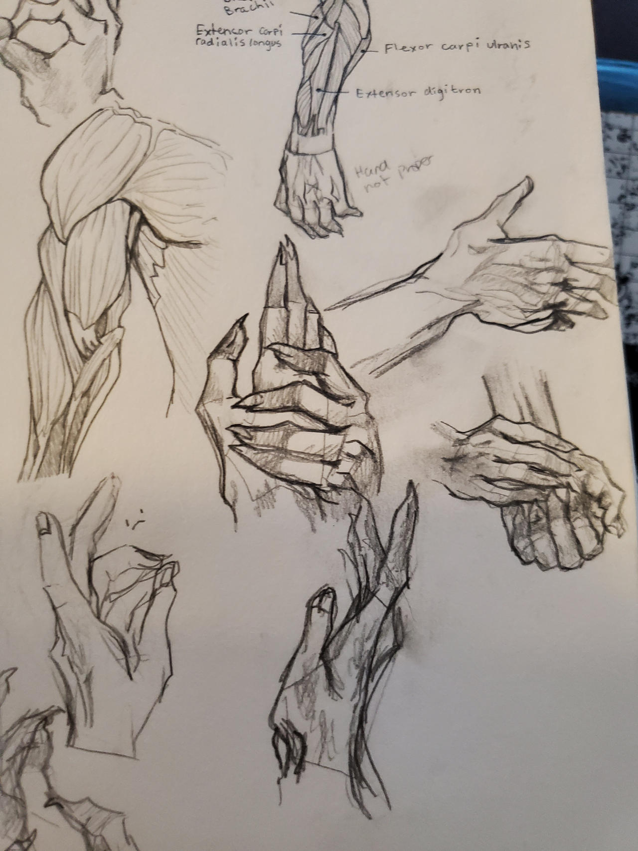 hand by Demakuan on DeviantArt